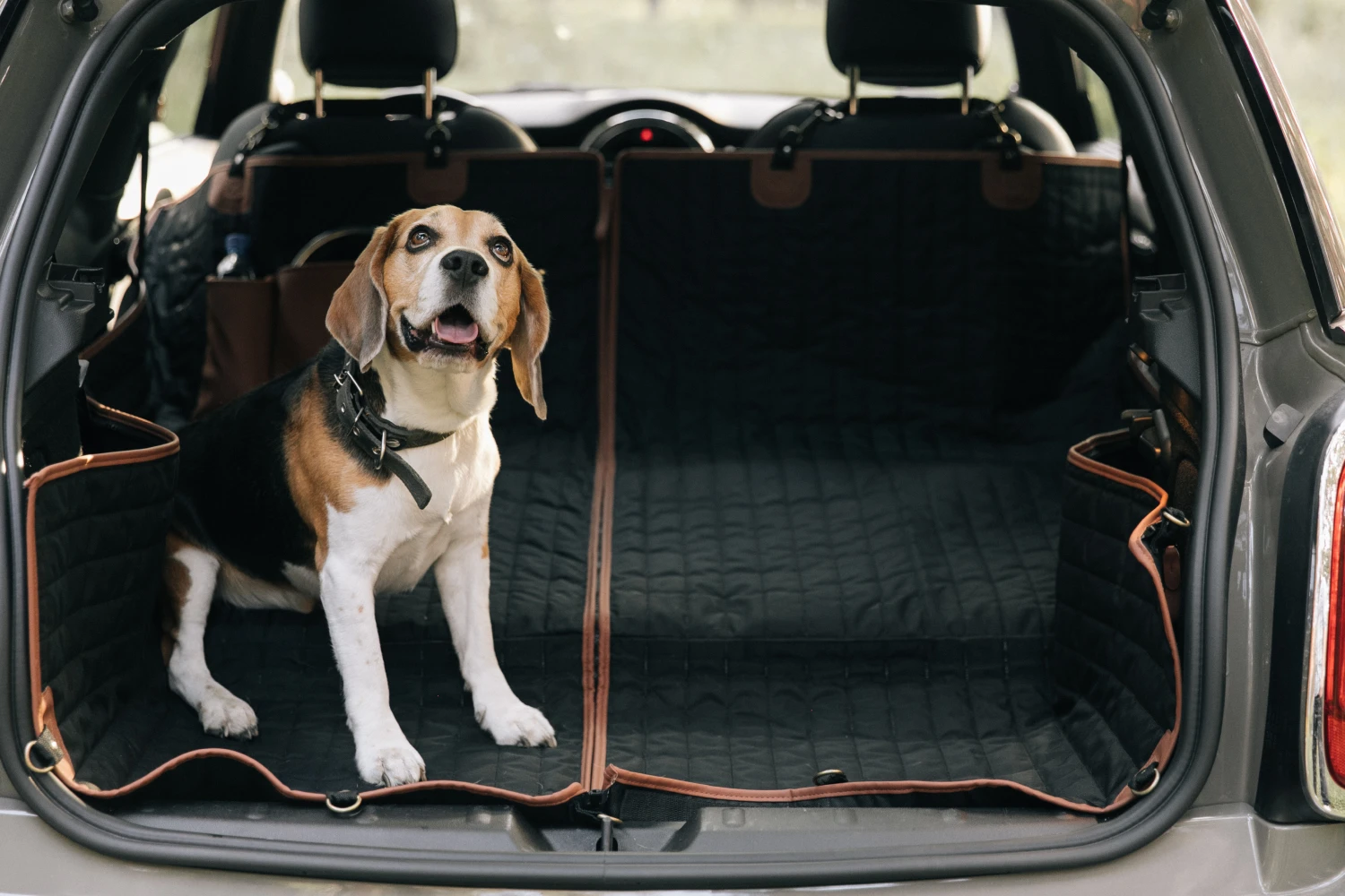 BMW X5 back seat cover for Cardigan Welsh Corgis