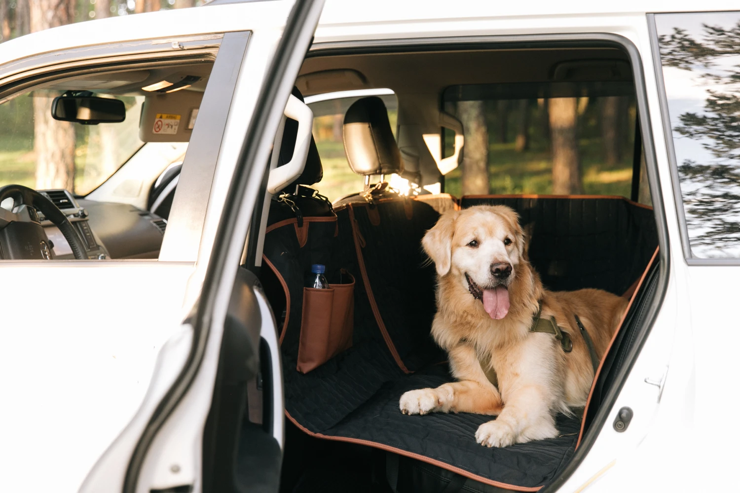 BMW X5 back seat cover for Cardigan Welsh Corgis