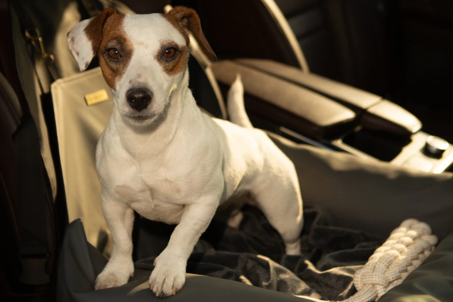 Ford Edge Dog Car Seat for Welsh Springer Spaniels