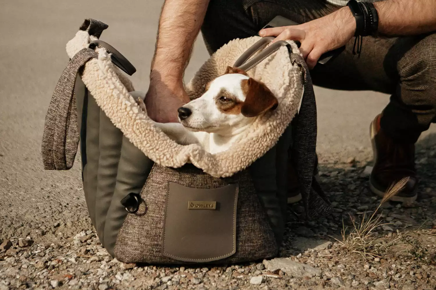 Dog Carrier Purse for Toy French Bulldog