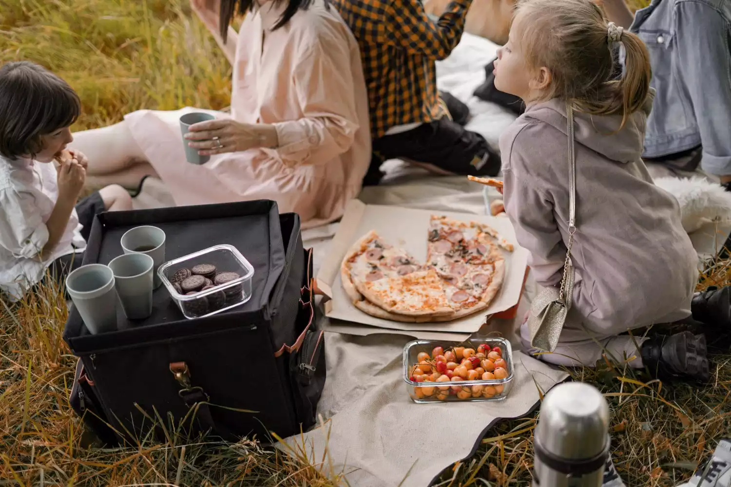 picnic blanket travel