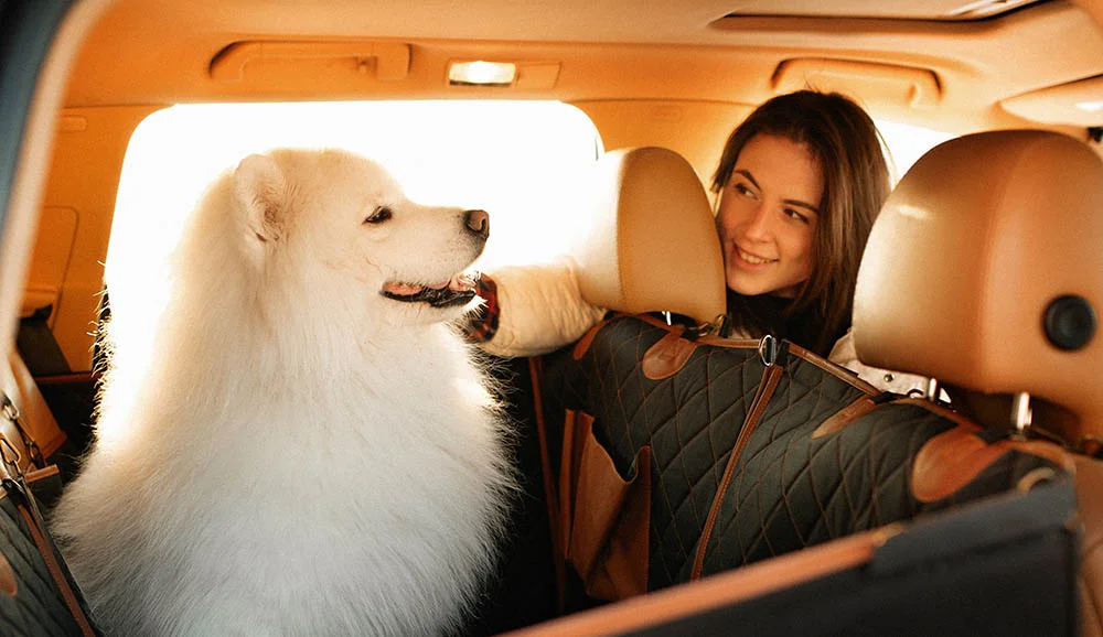 Old English Sheepdogs back seat cover for Nissan Armada