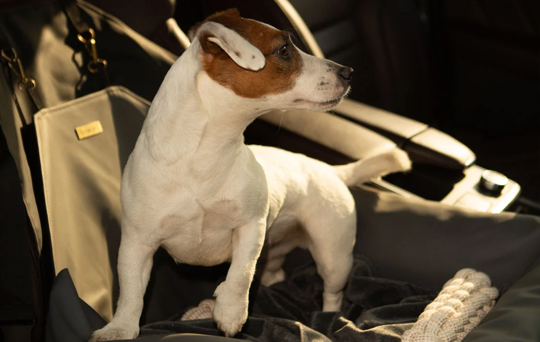 Tibetan Spaniels Dog Car Seat for Chevrolet Malibu